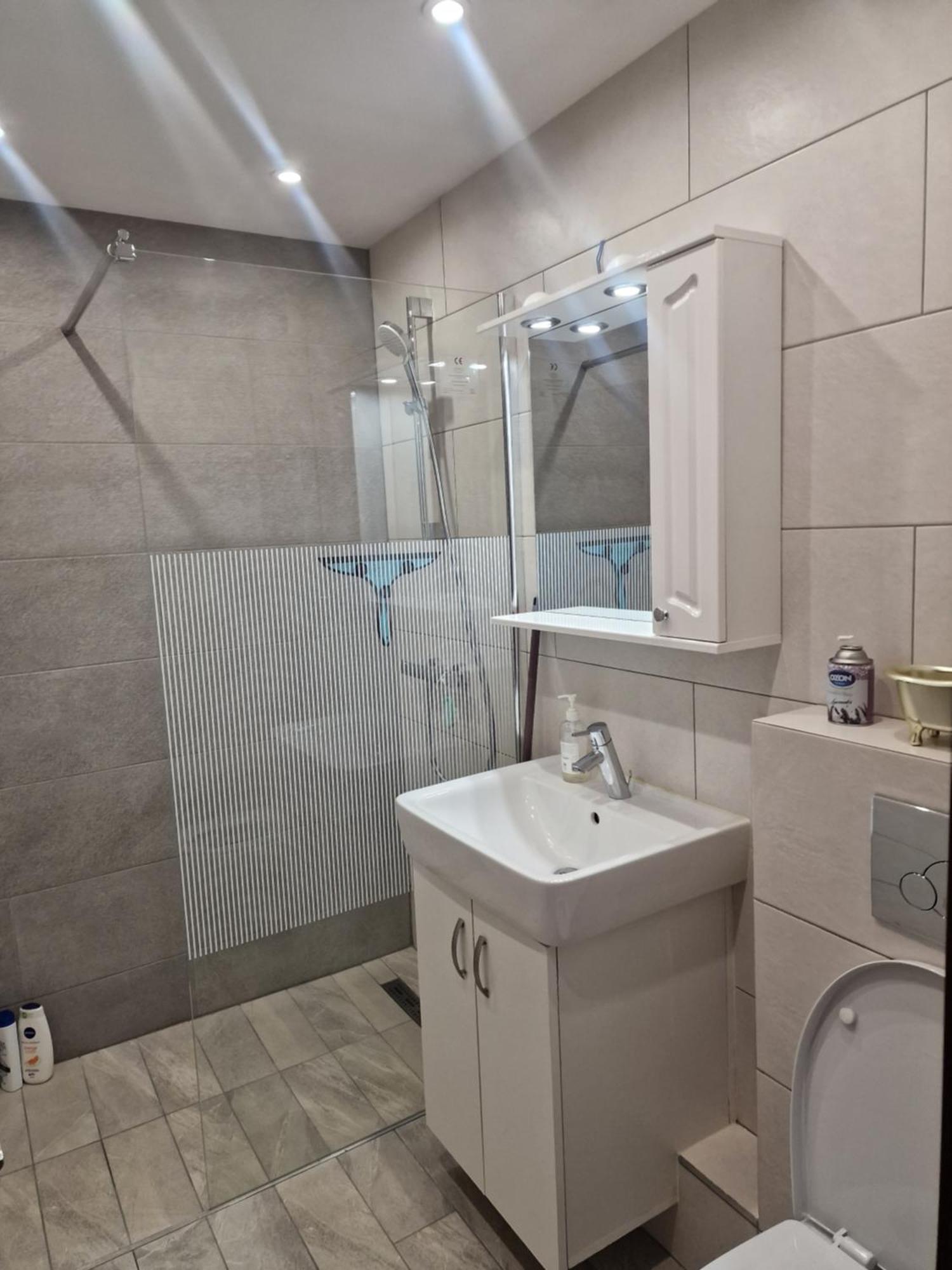 Special Apartment Nadeva Suceava Dış mekan fotoğraf